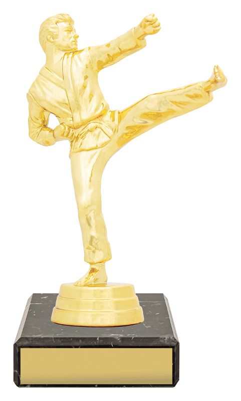 YB8344 Male Karate Figure Trophy 14.5cm
