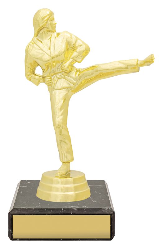 YB8345 Female Karate Figure Trophy 14.5cm