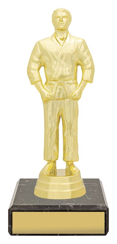 YB8346 Male Judo Figure Trophy 14.5cm
