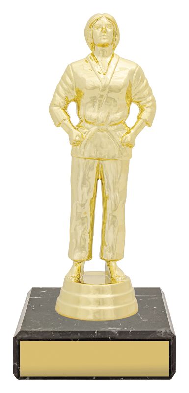 YB8347 Female Judo Figure Trophy 14.5cm