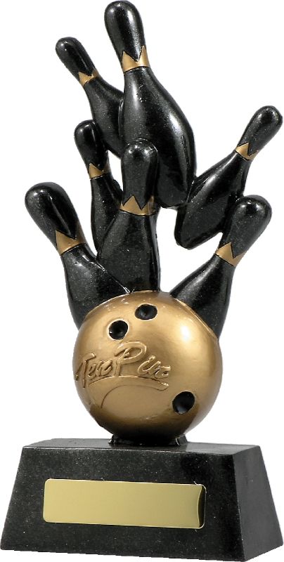 A1248C Tenpin Strike 23cm