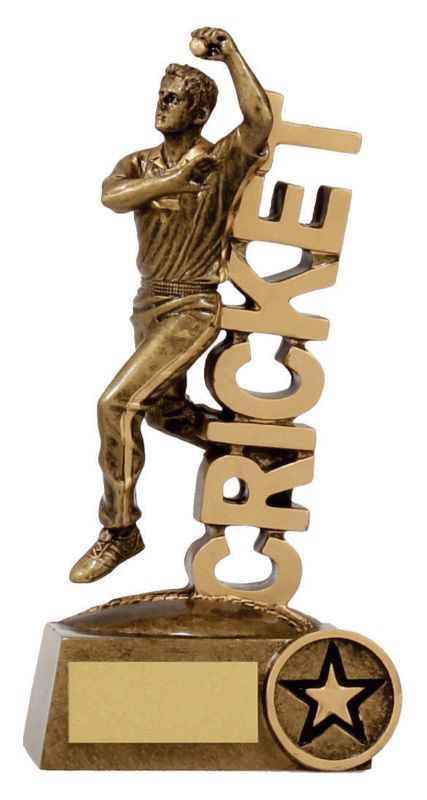 A1324B Cricket 'Word' Bowler 16.5cm