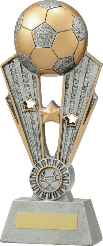 A1370D Football Fame 27cm