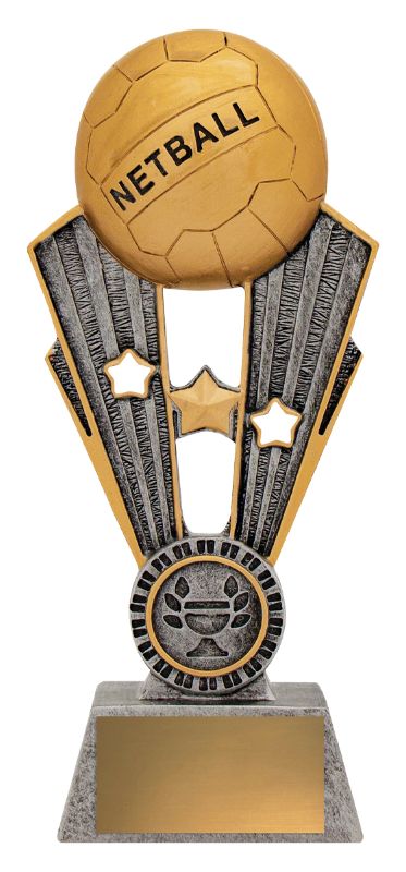 A1403A Netball Fame 19.5cm