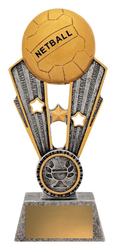 A1403AA Netball Fame 17cm