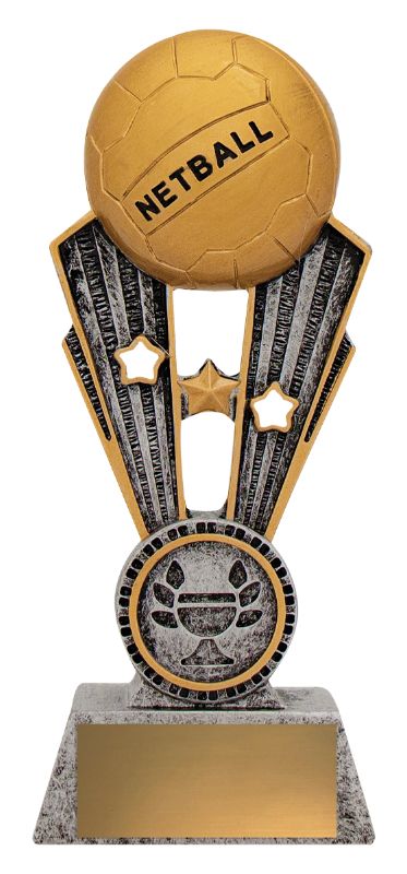 A1403AAA Netball Fame 15.5cm