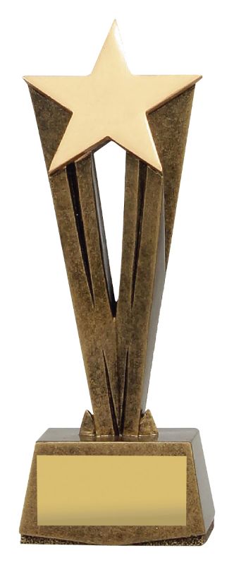 A1573A Cherish Star 17cm