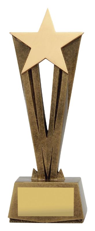 A1573C Cherish Star 22cm