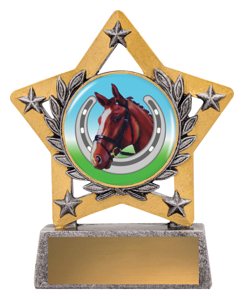 MSK99 Mini Star Colour - Horse Shoe