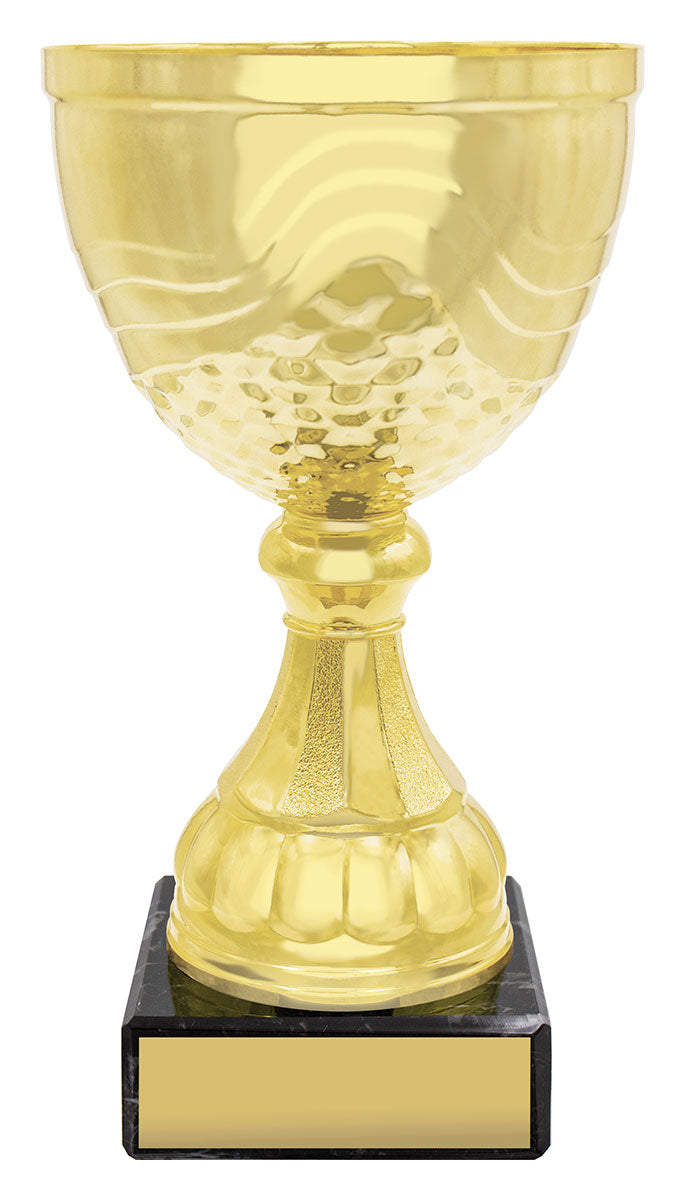 CUP162 Community Cup