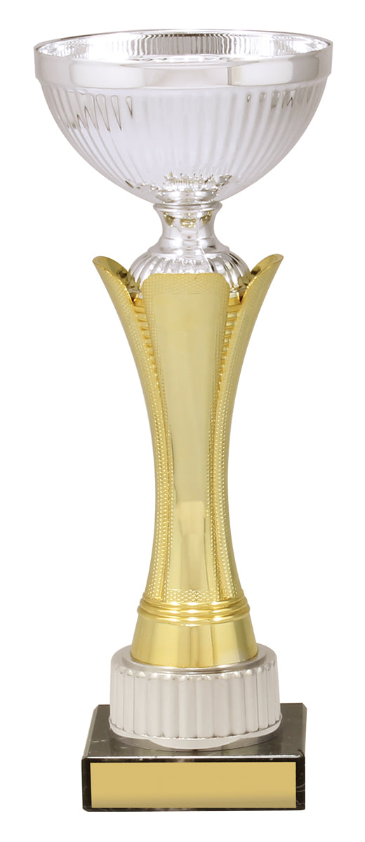 CUP167 Equity - Gold & Silver