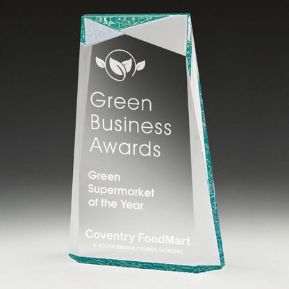AC284C Acrylic Ballast Award 24.5cm