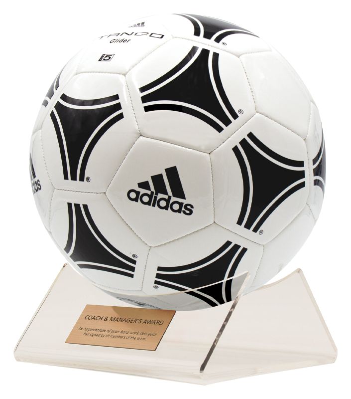 ACB01 Acrylic Ball Holder 16.5cm