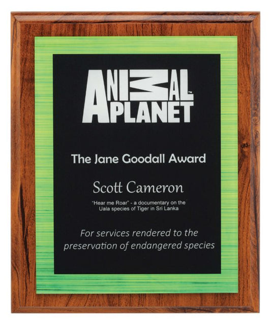 ACW814 Vivid Acrylic Plaque Green 25cm