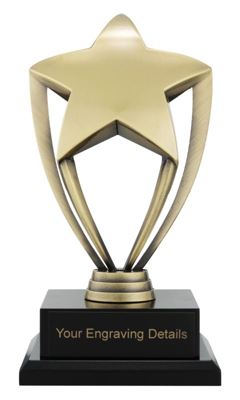 AD104 Gold Metal Star Award 19.5cm