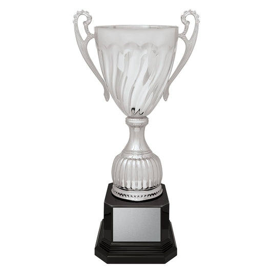 ASC02 Cruiser Cup - Silver