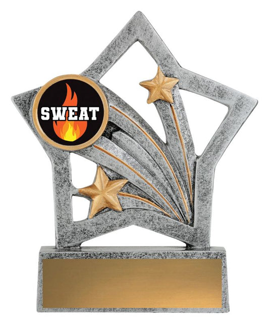 ASF110 Flash Trophy Sweat Training 25mm Insert 12.5cm