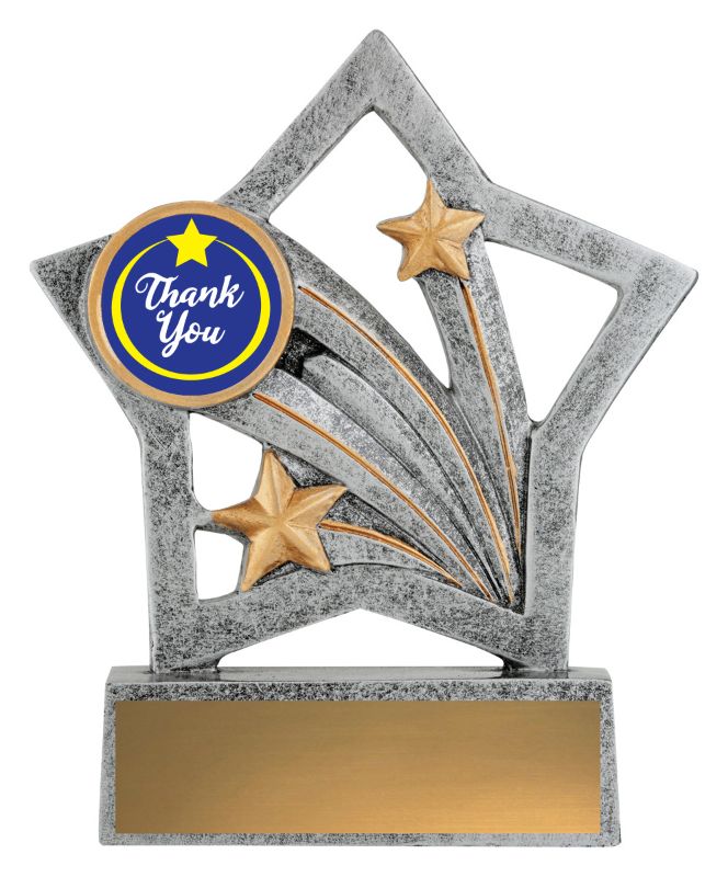ASF130 Flash Trophy Thank You 25mm Insert 12.5cm