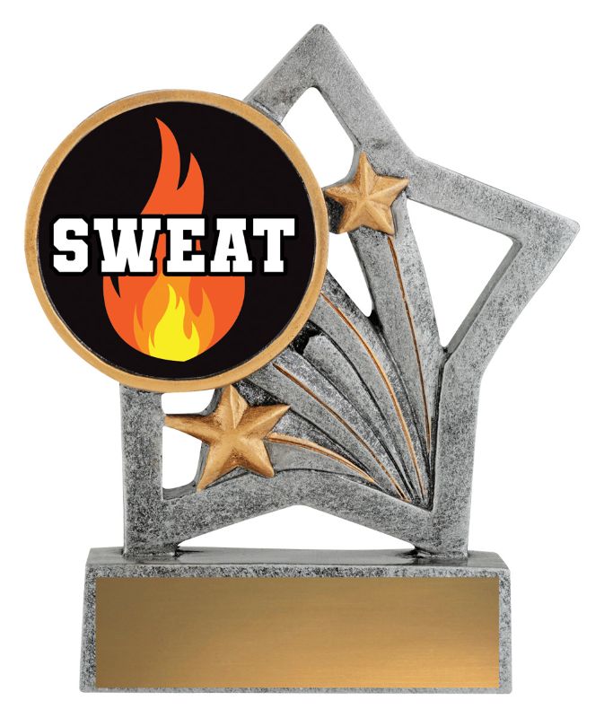 ASF210 Flash Trophy Sweat Training 50mm Insert 12.5cm