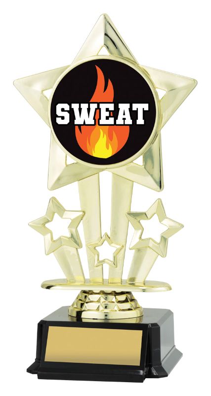 ASS510 Icon Star Sweat 18cm