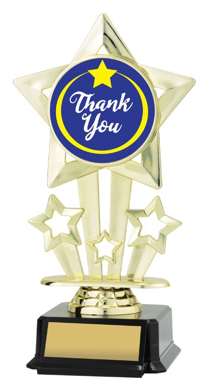 ASS530 Icon Star Thank You 18cm