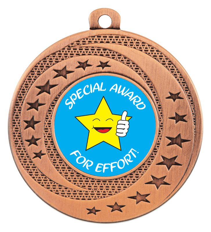 ASW131B Wayfare Medal Special Award Bronze 5cm