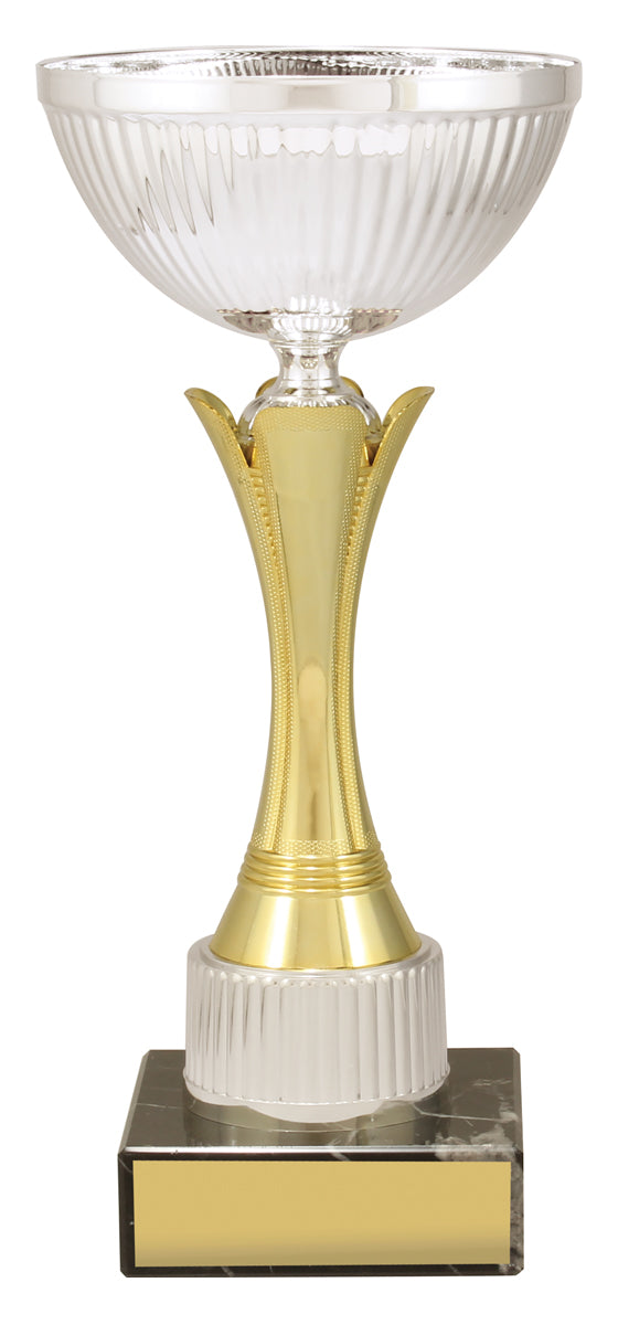 CUP167 Equity - Gold & Silver
