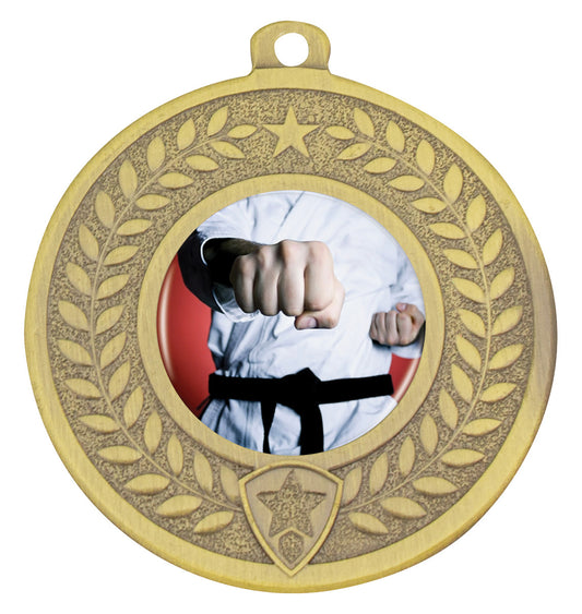 DMC451 Distinction - Martial Arts