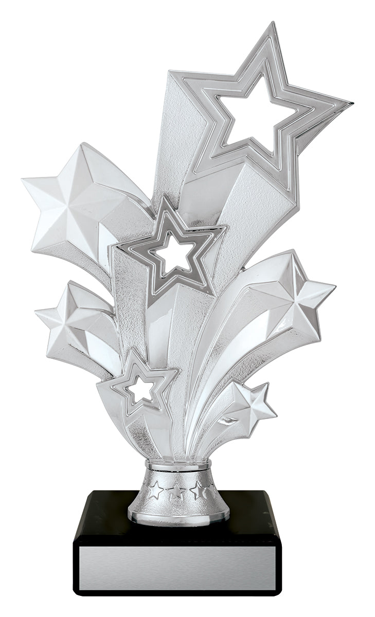 D5201 Silver Starburst