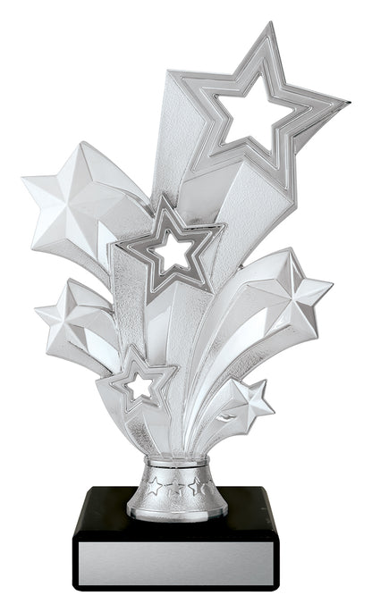 D5201 Silver Starburst