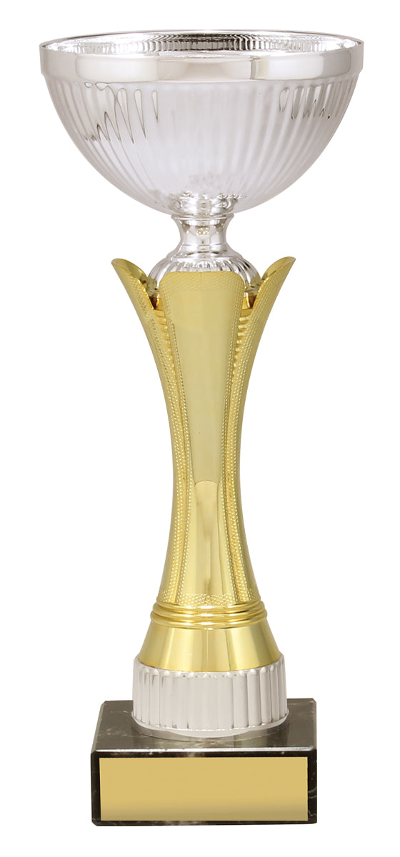 CUP167 Equity - Gold & Silver