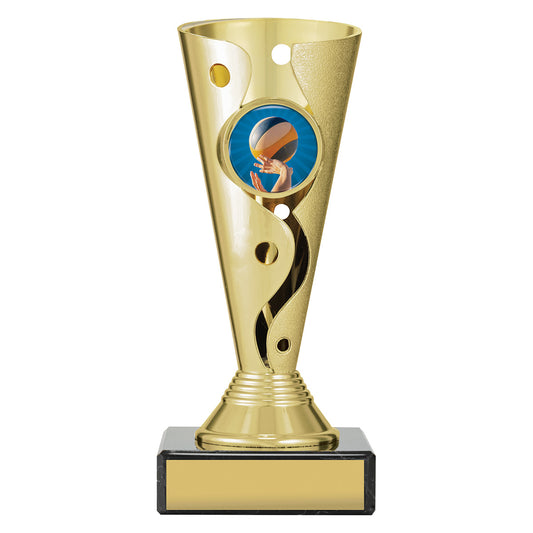 CRC271 Volleyball Aspire Carnival Cup