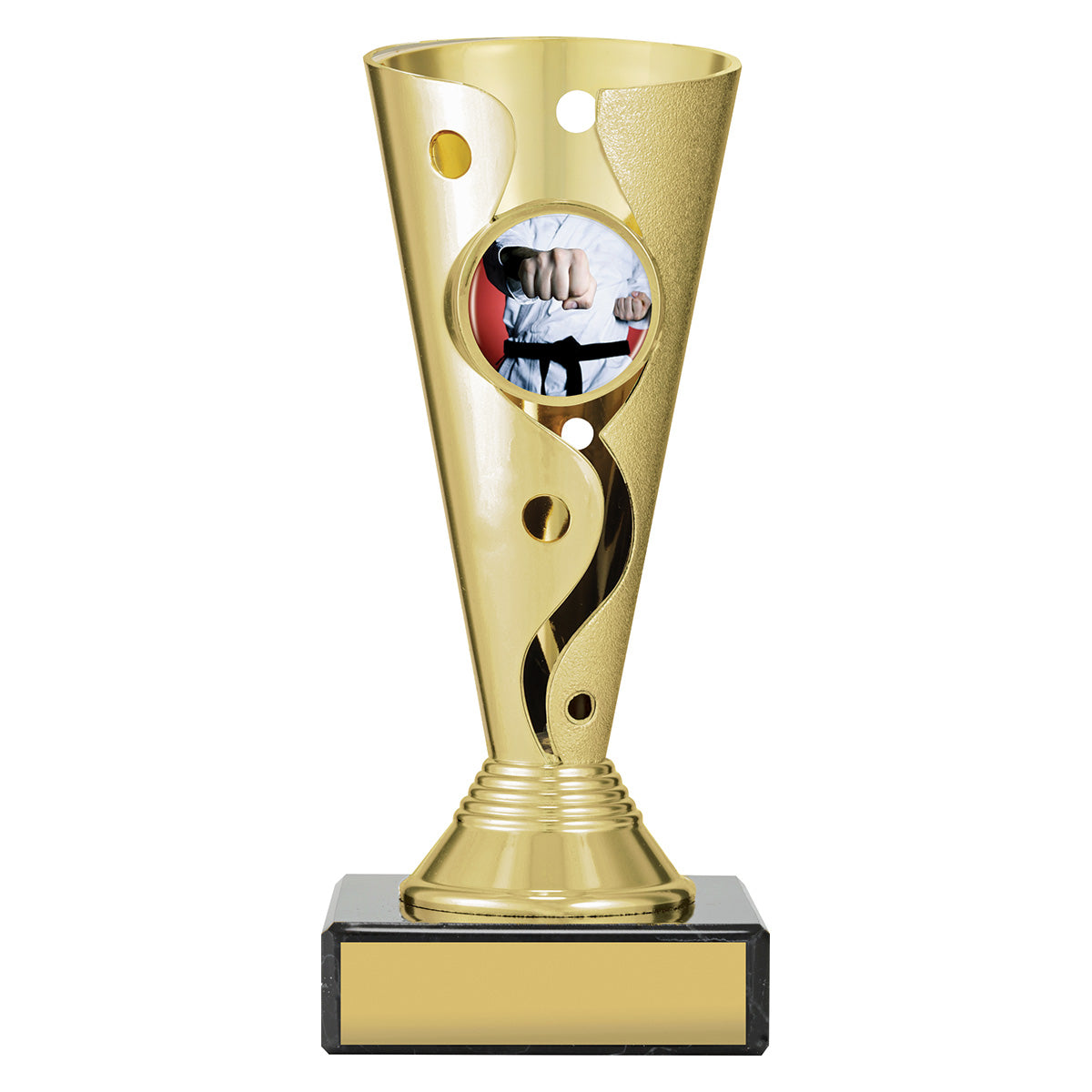 CRC451 Martial Arts Aspire Carnival Cup