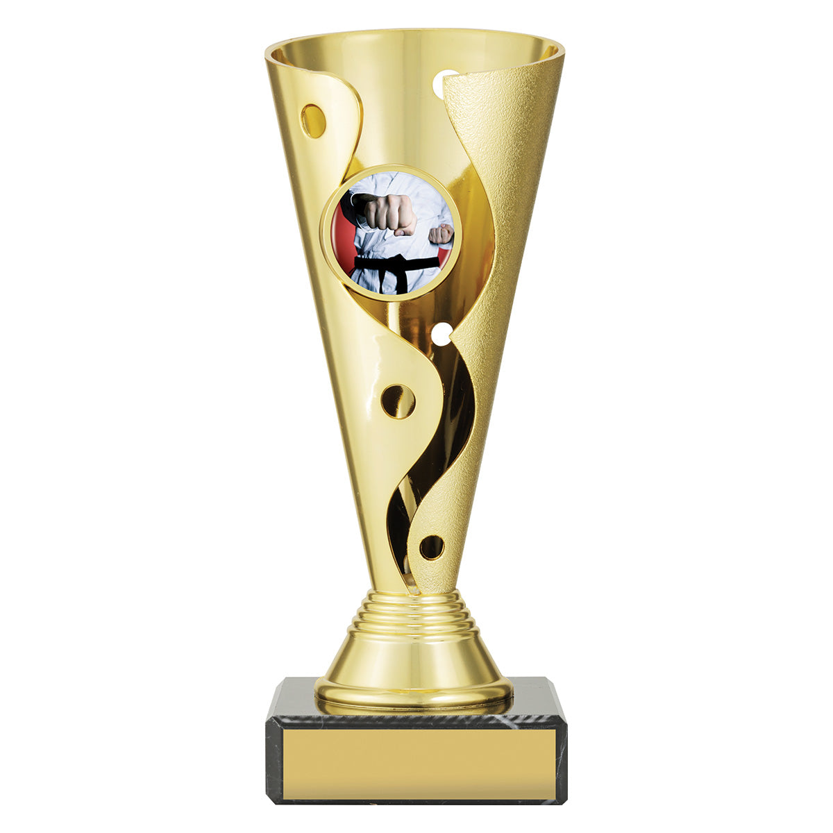 CRC451 Martial Arts Aspire Carnival Cup