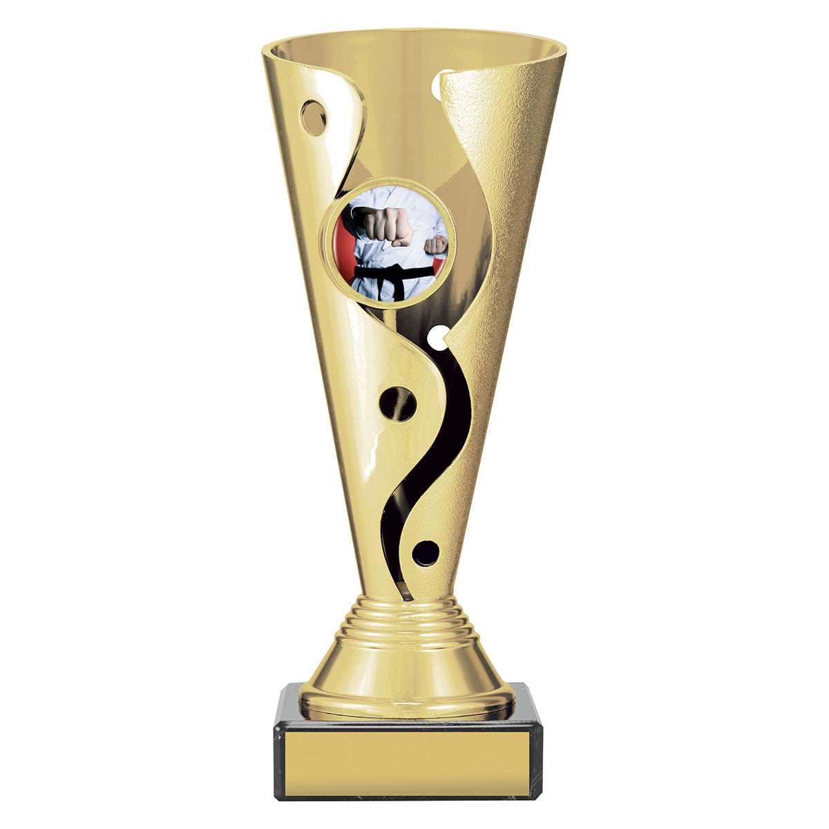 CRC451 Martial Arts Aspire Carnival Cup
