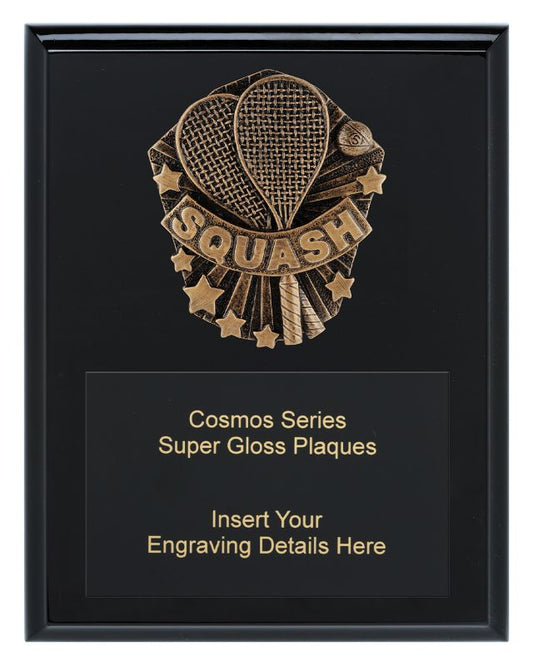 CRK786C Cosmos Super Plaque Squash 25cm