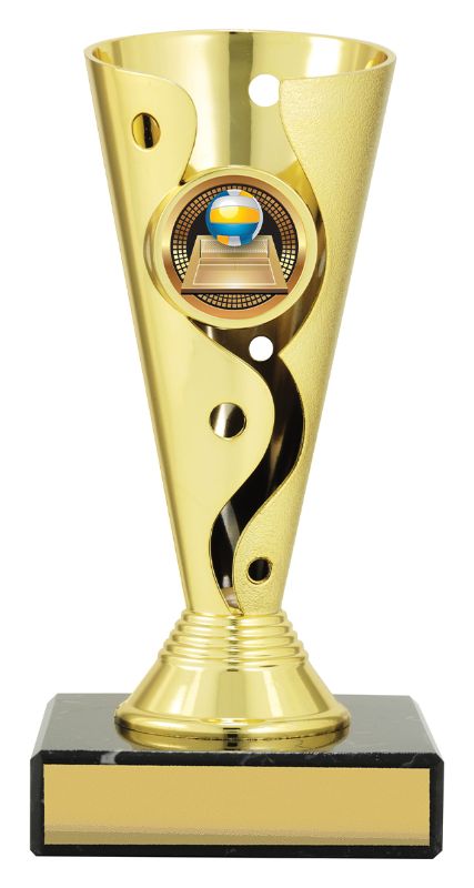 CRN27A Volleyball Carnival 15.5cm
