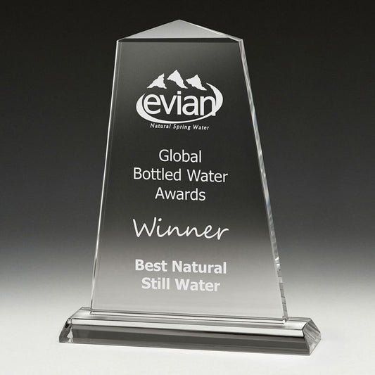 CT19B Crystal Tribute Award 23.5cm