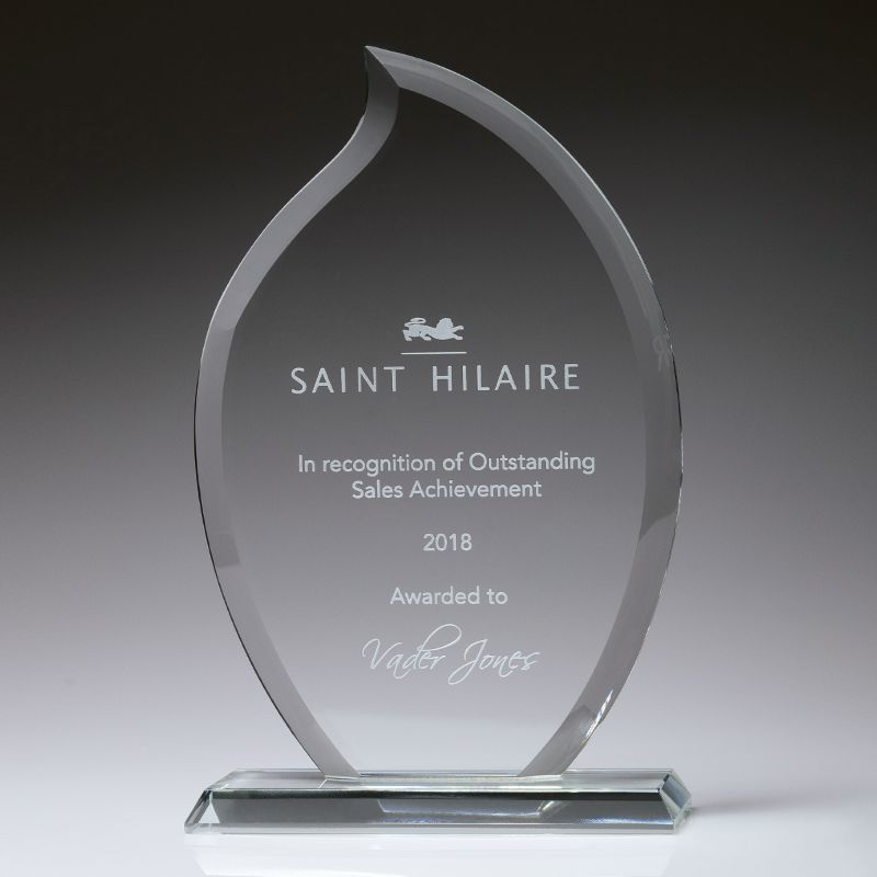 CT230C Torch Award Glass 24.5cm