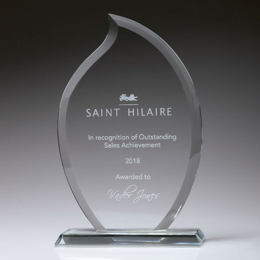 CT230C Torch Award Glass 24.5cm
