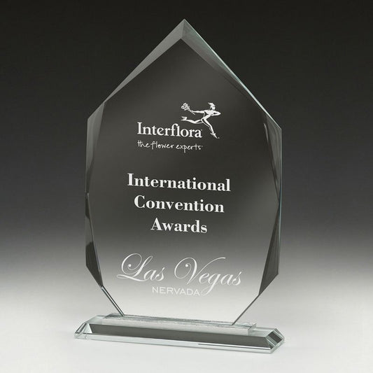 CT630M Integrity Glass Arrowhead 22cm