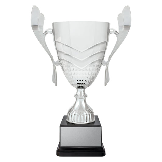 CUP272 Avalon Silver Cup