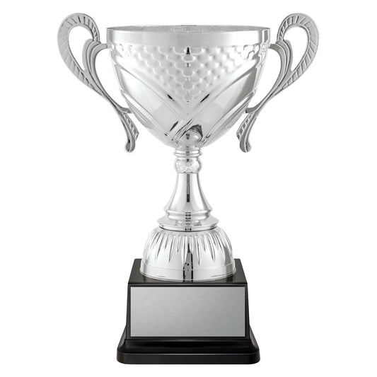 CUP274 Welcome Cup - Silver
