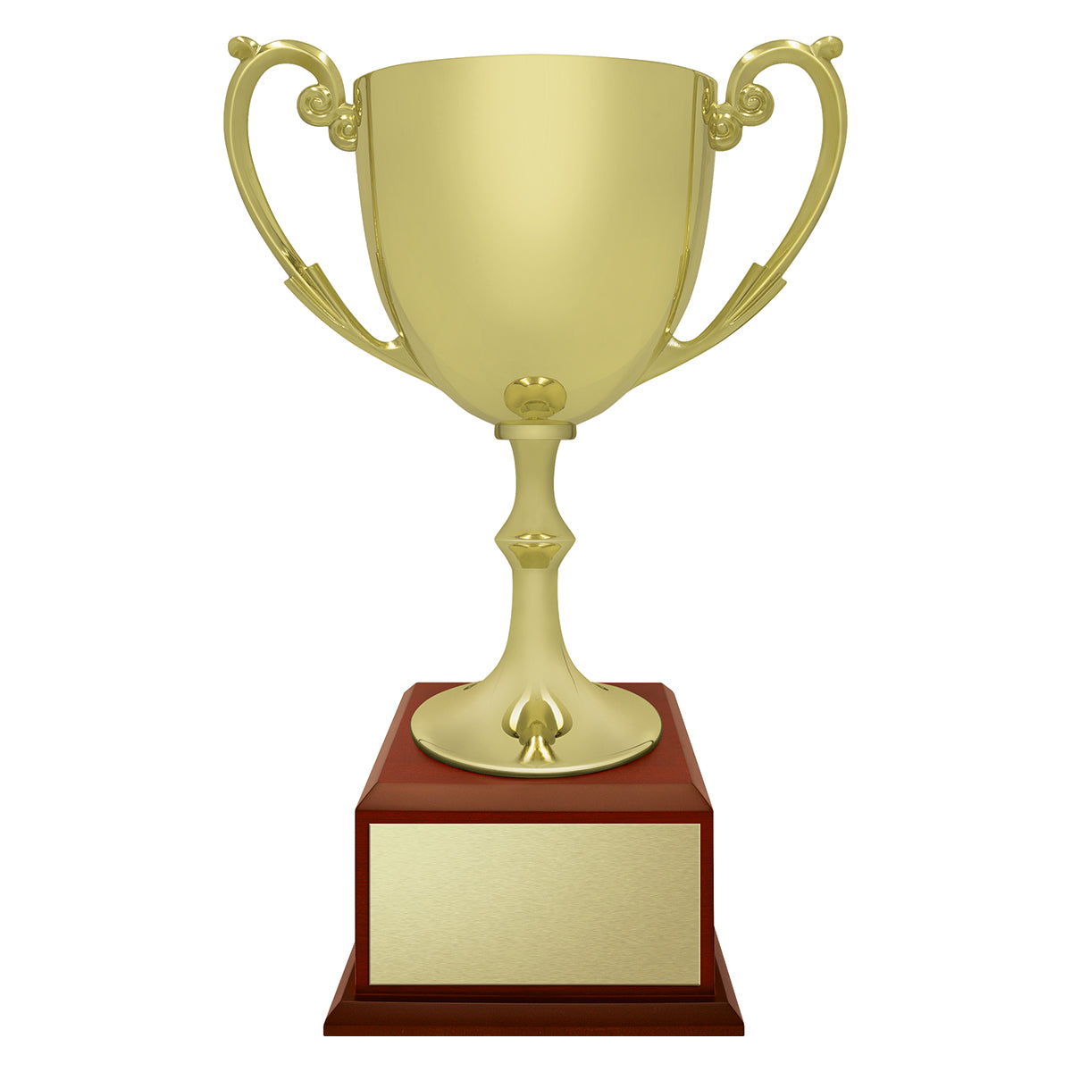 CUP287 Recognition - Timber Base