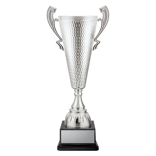 CUP291 Sentinel Cup