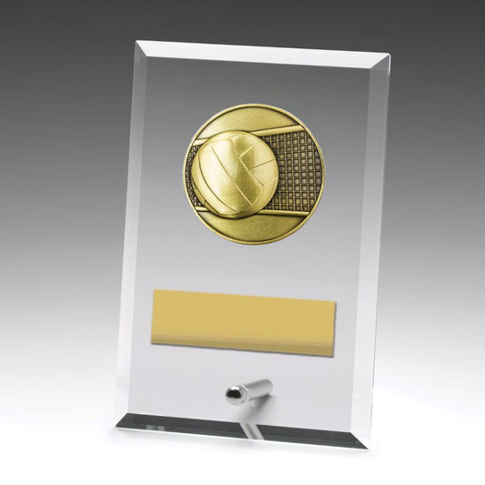 DY127A Glass Plaque Volleyball 15cm