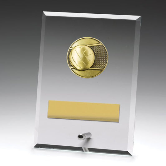 DY127B Glass Plaque Volleyball 17.5cm