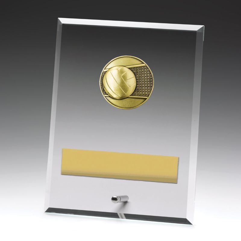 DY127C Glass Plaque Volleyball 20cm