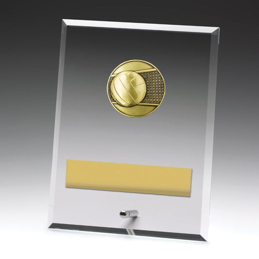 DY127C Glass Plaque Volleyball 20cm