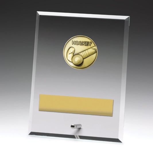 DY144C Glass Plaque Hockey 20cm